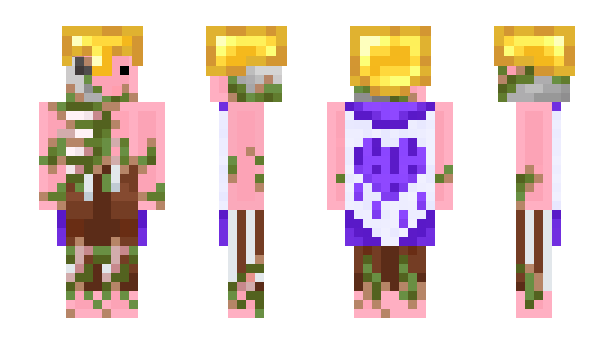 Minecraft skin Piggv