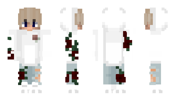 Minecraft skin brzo