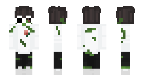 Minecraft skin ho1y