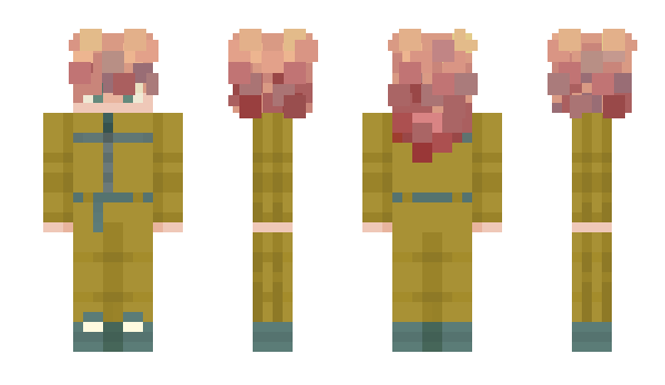 Minecraft skin ____miro