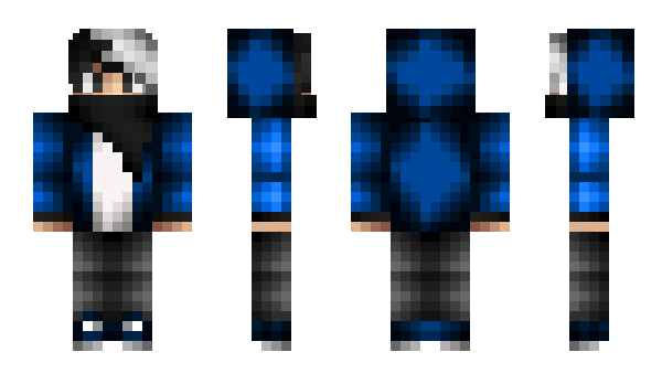 Minecraft skin JeUtiliseLePing