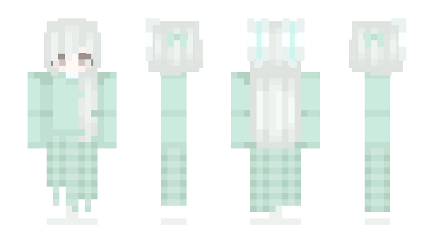 Minecraft skin rradio