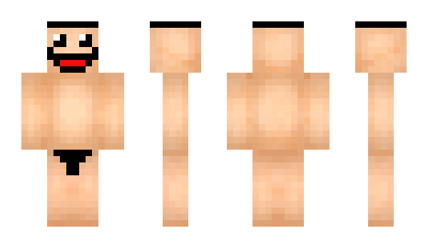 Minecraft skin ProMod