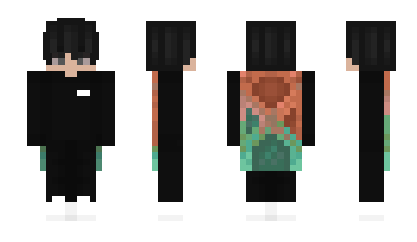 Minecraft skin flcwx