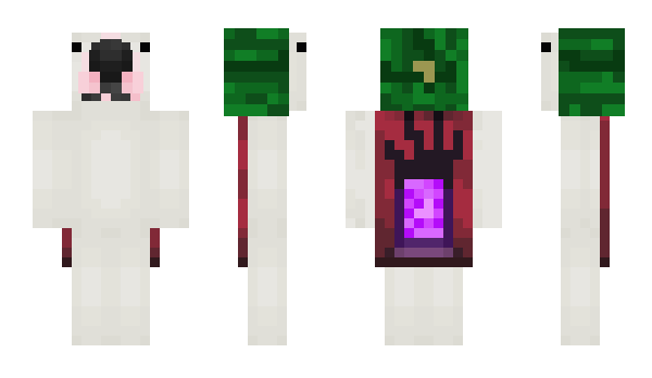 Minecraft skin WLG
