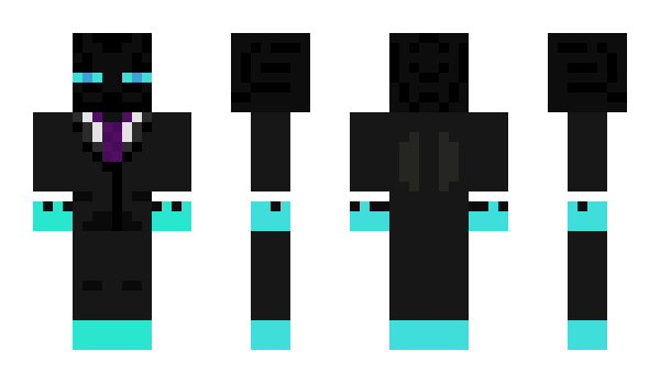 Minecraft скін по ніку TGMS