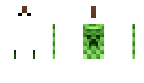 Minecraft skin Zerot_FLASH