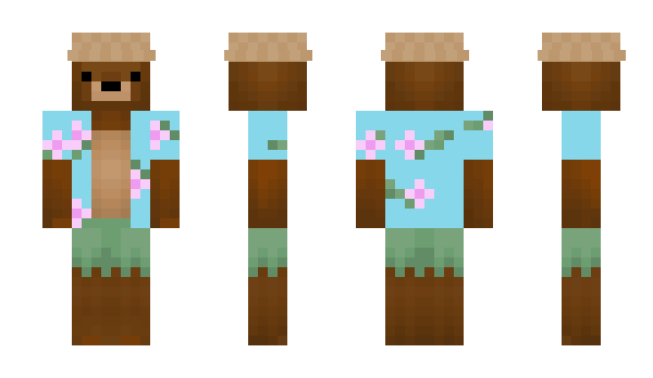 Minecraft skin Vansassin