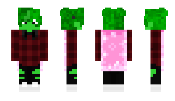 Minecraft skin ruuizo