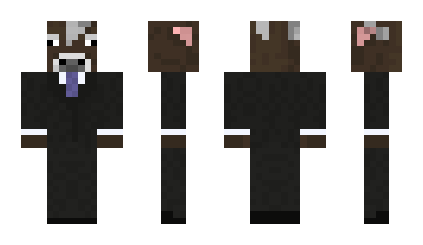 Minecraft skin kippet