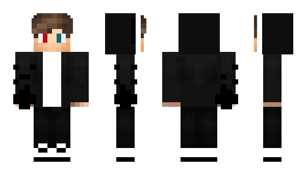Minecraft skin litbay