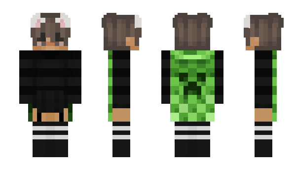 Minecraft skin tatpurr