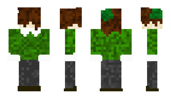 Minecraft skin Invisno