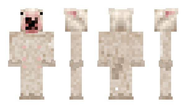 Minecraft skin pl_2