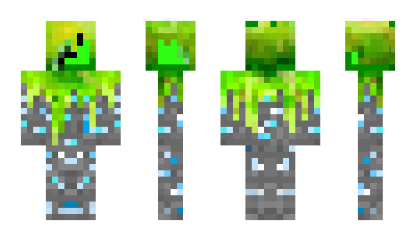 Minecraft skin n9x