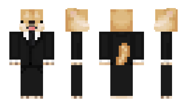 Minecraft skin The_Pope