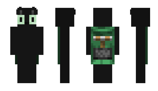 Minecraft skin Taizs