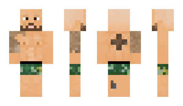 Minecraft skin mr_shibin