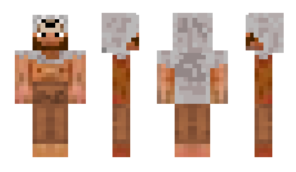 Minecraft skin 1oneDruid