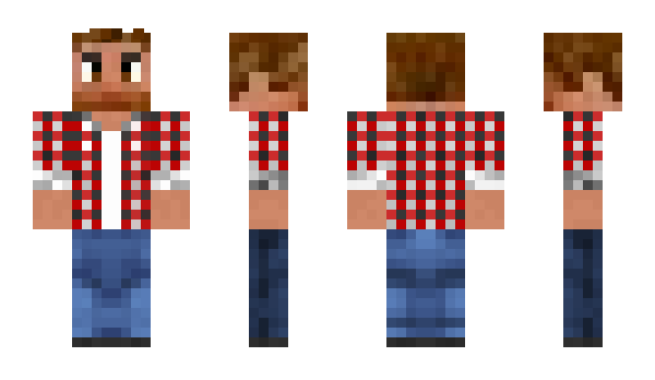 Minecraft skin Valanna