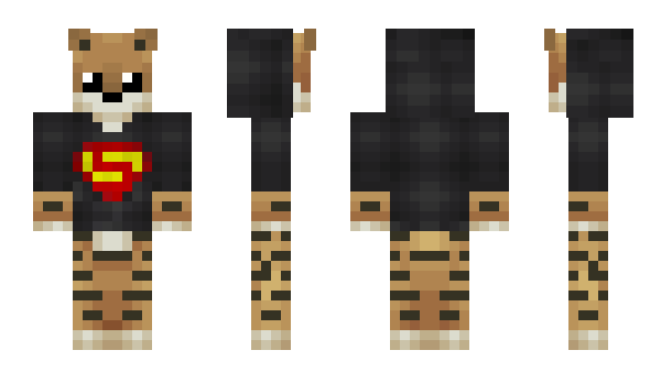 Minecraft skin wpitchoune