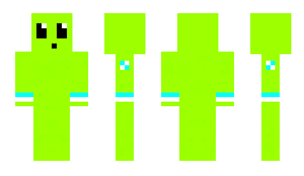 Minecraft skin Druzi