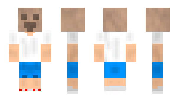 Minecraft skin nyanFORgaryj