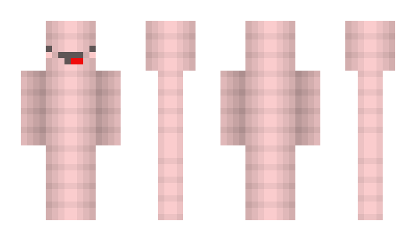 Minecraft skin skeppy_worm