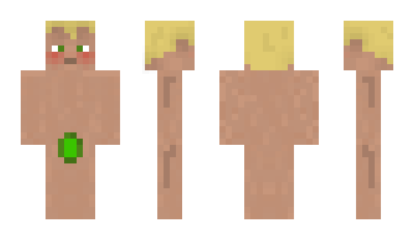 Minecraft skin poksis
