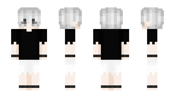 Minecraft skin akashieye