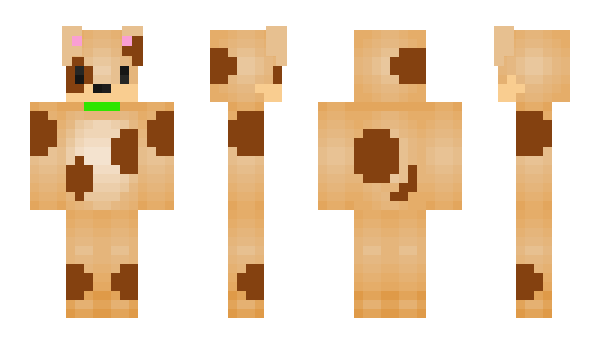 Minecraft skin Sardoo