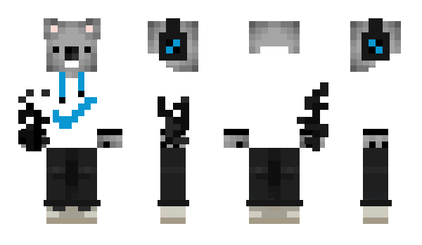 Minecraft skin sollnerrudi