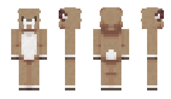 Minecraft skin Bokjaknoru