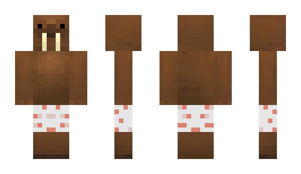 Minecraft skin Owns