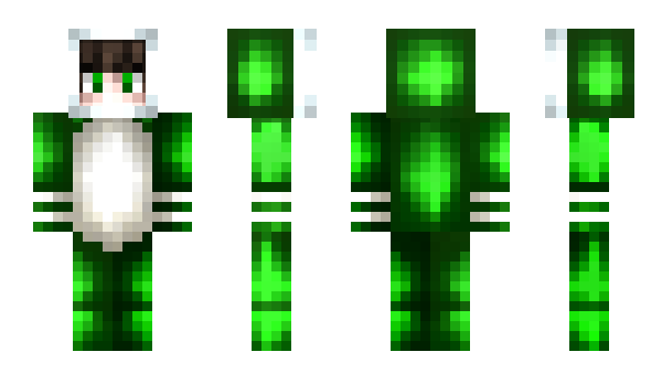 Minecraft skin _Cooljaker