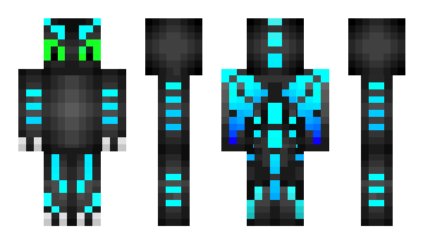 Minecraft skin NightFuryDragon