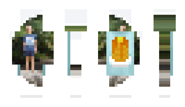 Minecraft skin 4dna