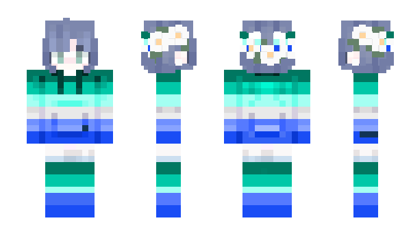 Minecraft skin Cameetoo