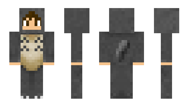 Minecraft skin totoro1290