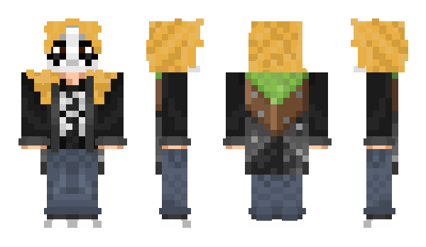 Minecraft skin Ciwir