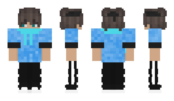 Minecraft skin BlueTechnoCraft