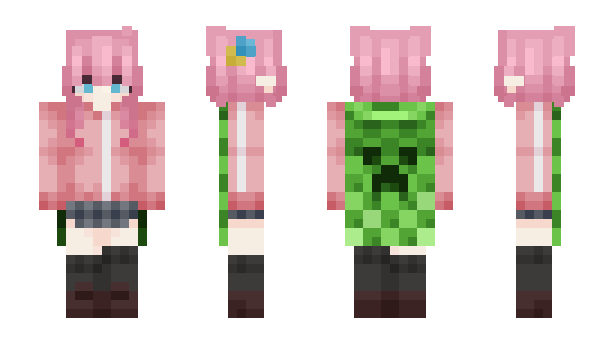 Minecraft skin graph_pelmen