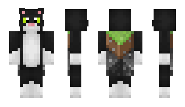 Minecraft skin Reddjo