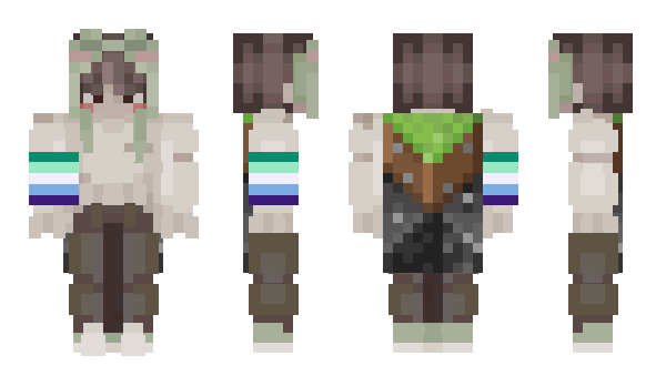 Minecraft skin bcvd