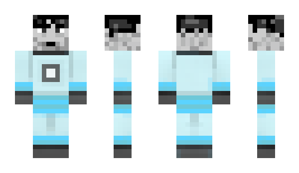 Minecraft skin Asenir