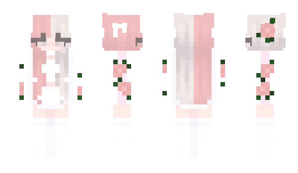 Minecraft skin Bissexual