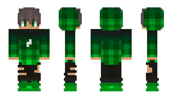 Minecraft skin _Bley