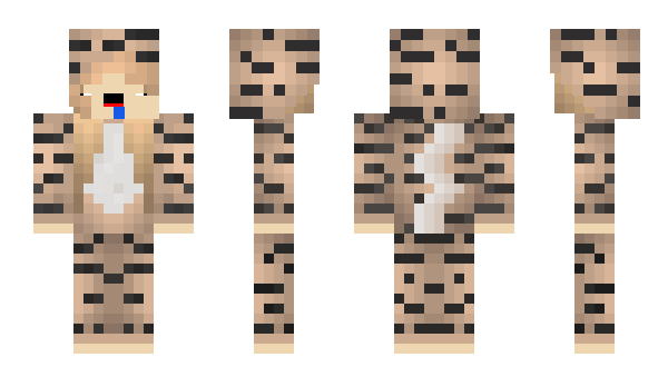 Minecraft skin Raided