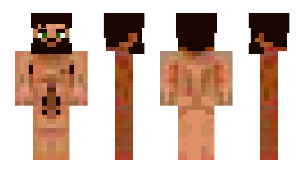 Minecraft skin SLFT