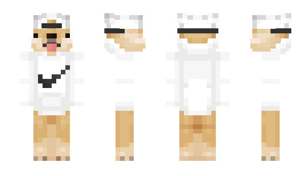 Minecraft skin SkZinn